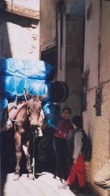 Warentransport in einer Altstadtgasse von Fes