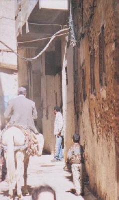 Personenbeförderung in einer Altstsadtgasse von Fes