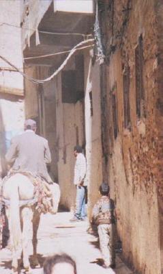 Personenbeförderung in einer Altstsadtgasse von Fes